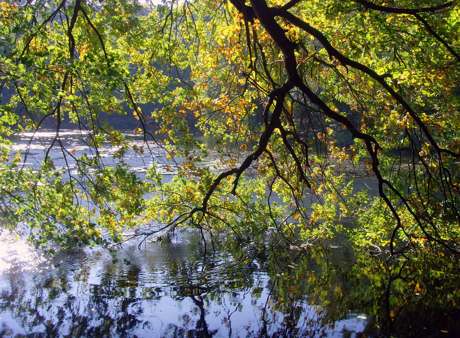 Hubertussee Bergfelde ( bei Berlin)