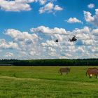 Hubschrauber beim Spotterday in Fassberg