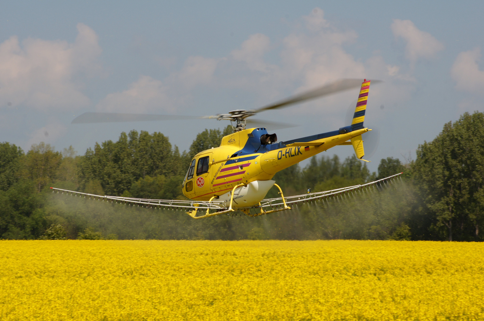 Hubschrauber beim sprühen von Raps