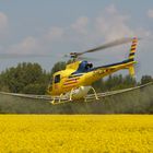 Hubschrauber beim sprühen von Raps