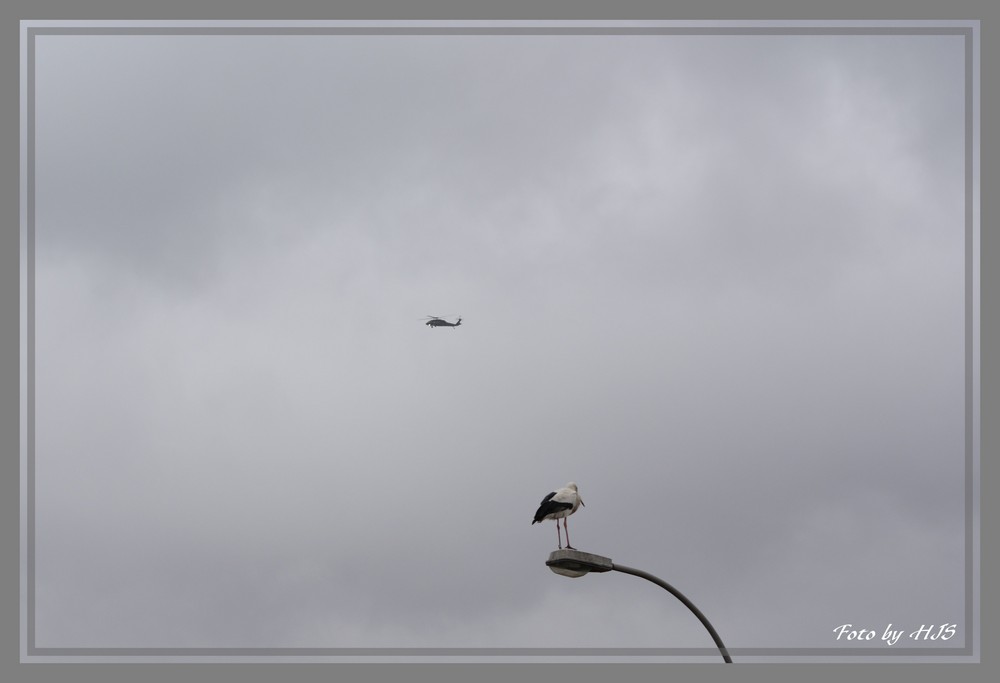 Hubschrauber und Storch mitten aus dem Leben