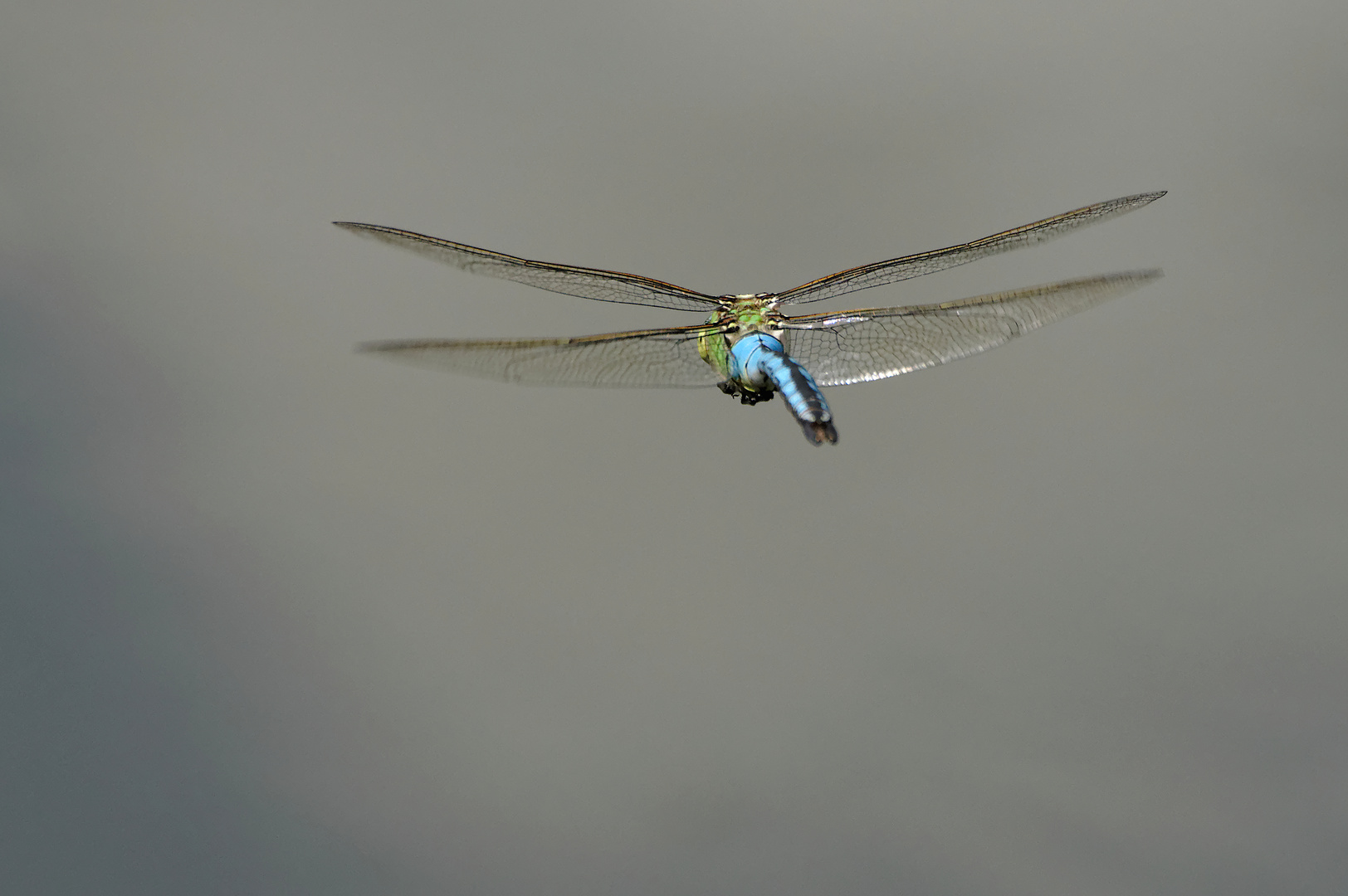 Hubschrauber von Hinten