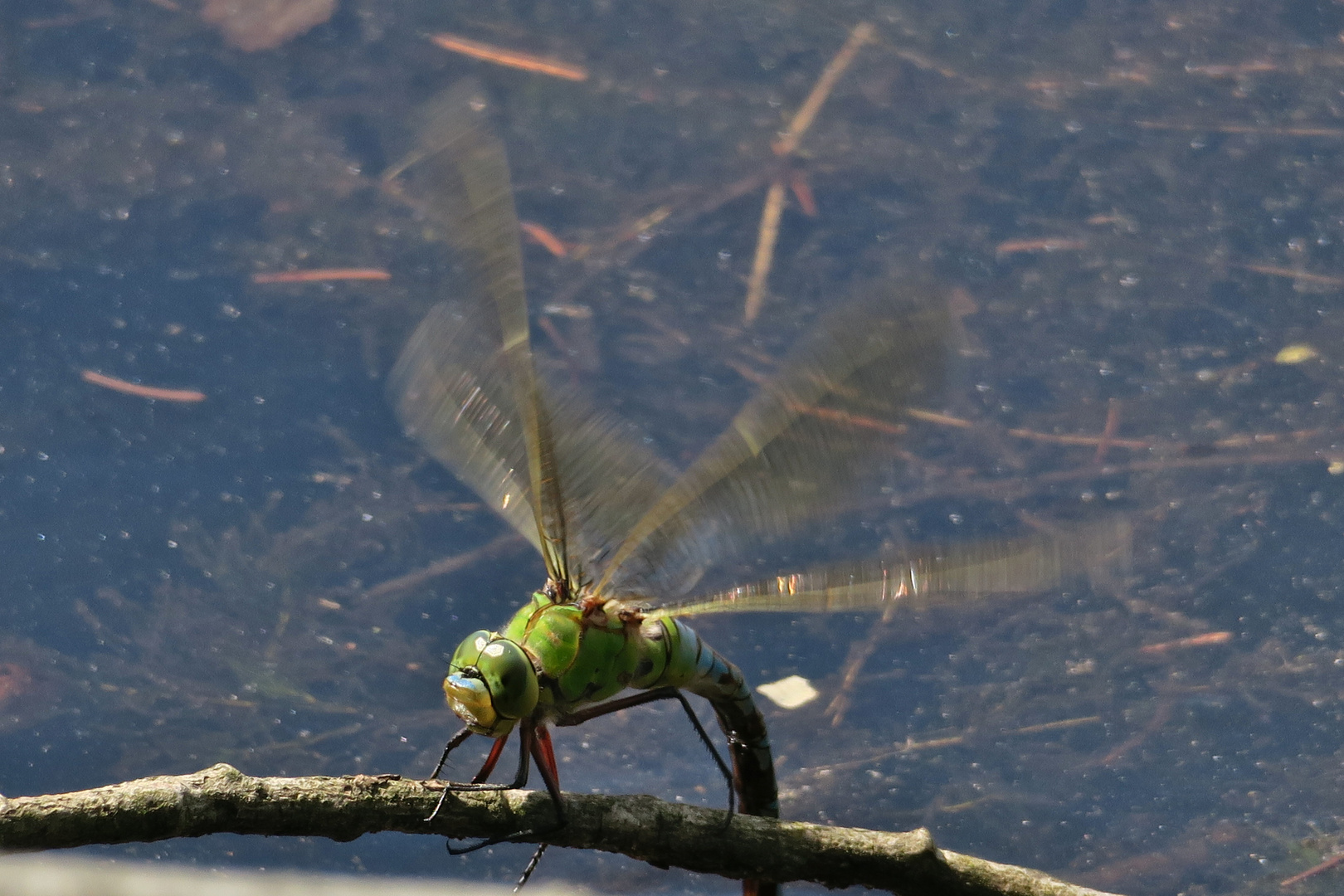 Hubschrauber vorm Start