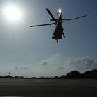 Hubschraubereinsatz auf der Insel Capraia