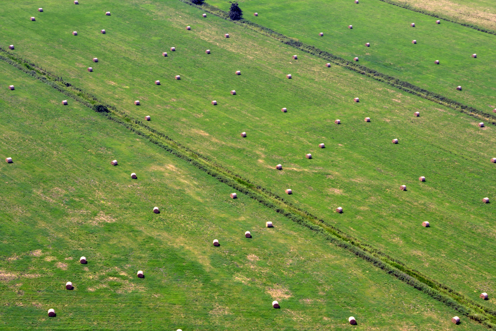 Hubschrauberflug - Feld