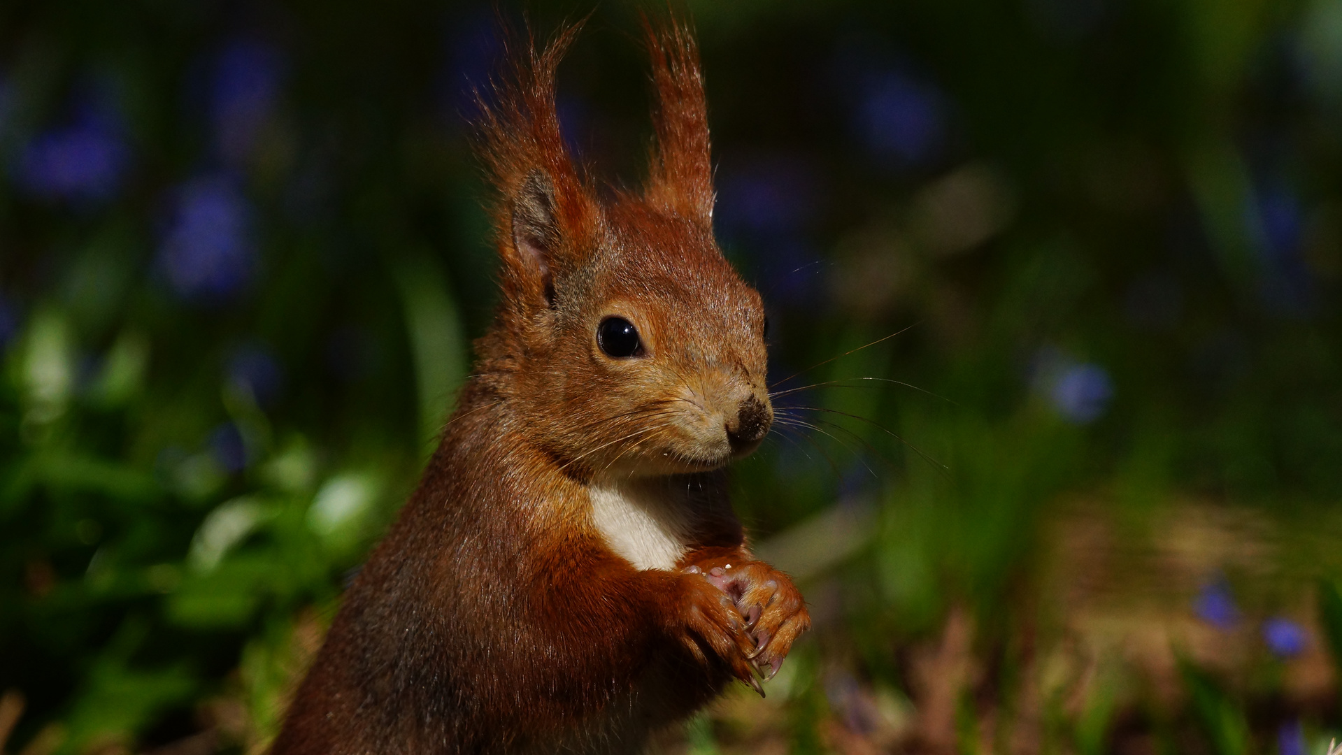 "Huch!"