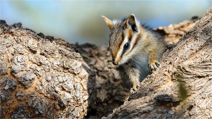 Huch, da ist ja einer