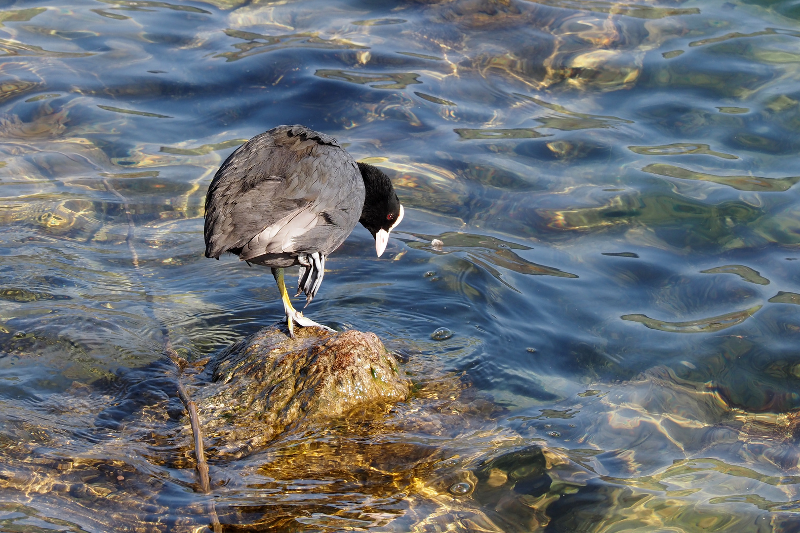 huch , das wasser ist nass