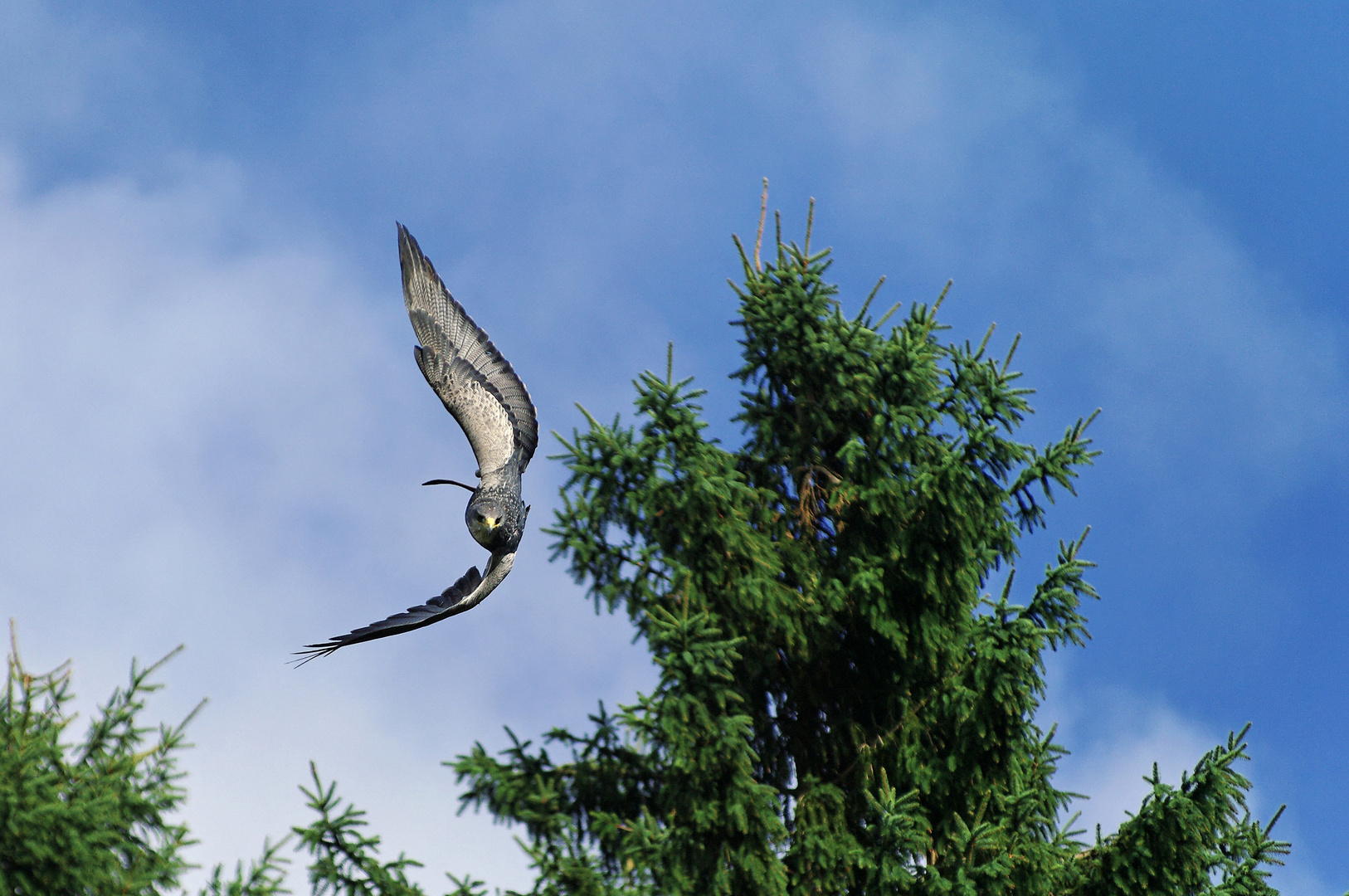 Huch: Der Anflug