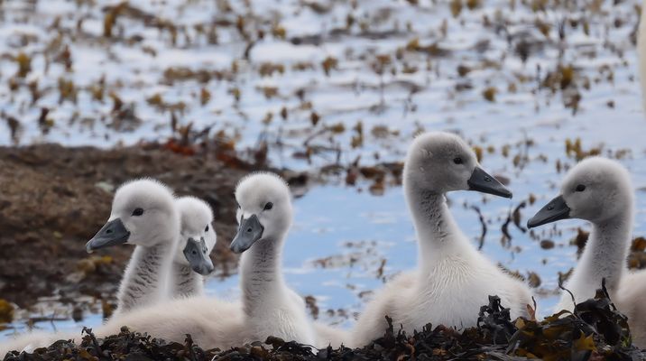 -.-.-.-  Huch, ist was passiert????? -.-.-.-