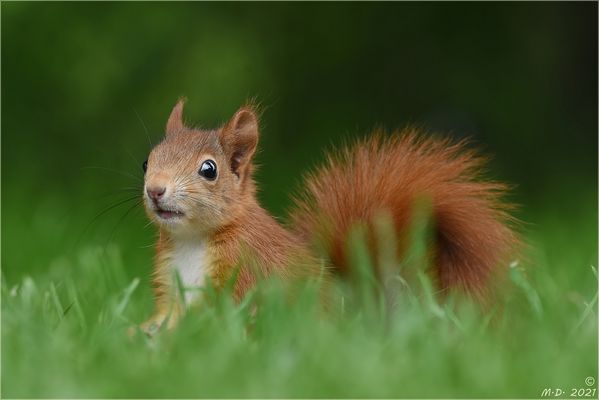 Huch ...was kommt denn da angekrochen? ...