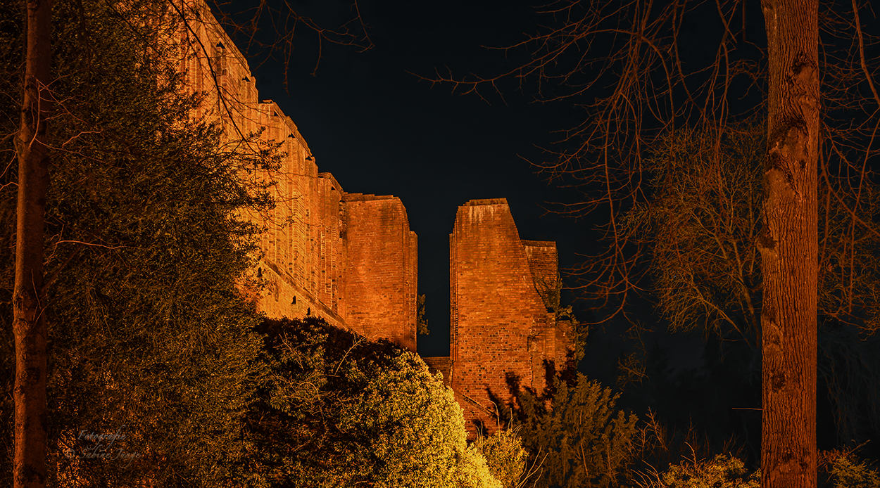 Huder Klosterruine bei Nacht