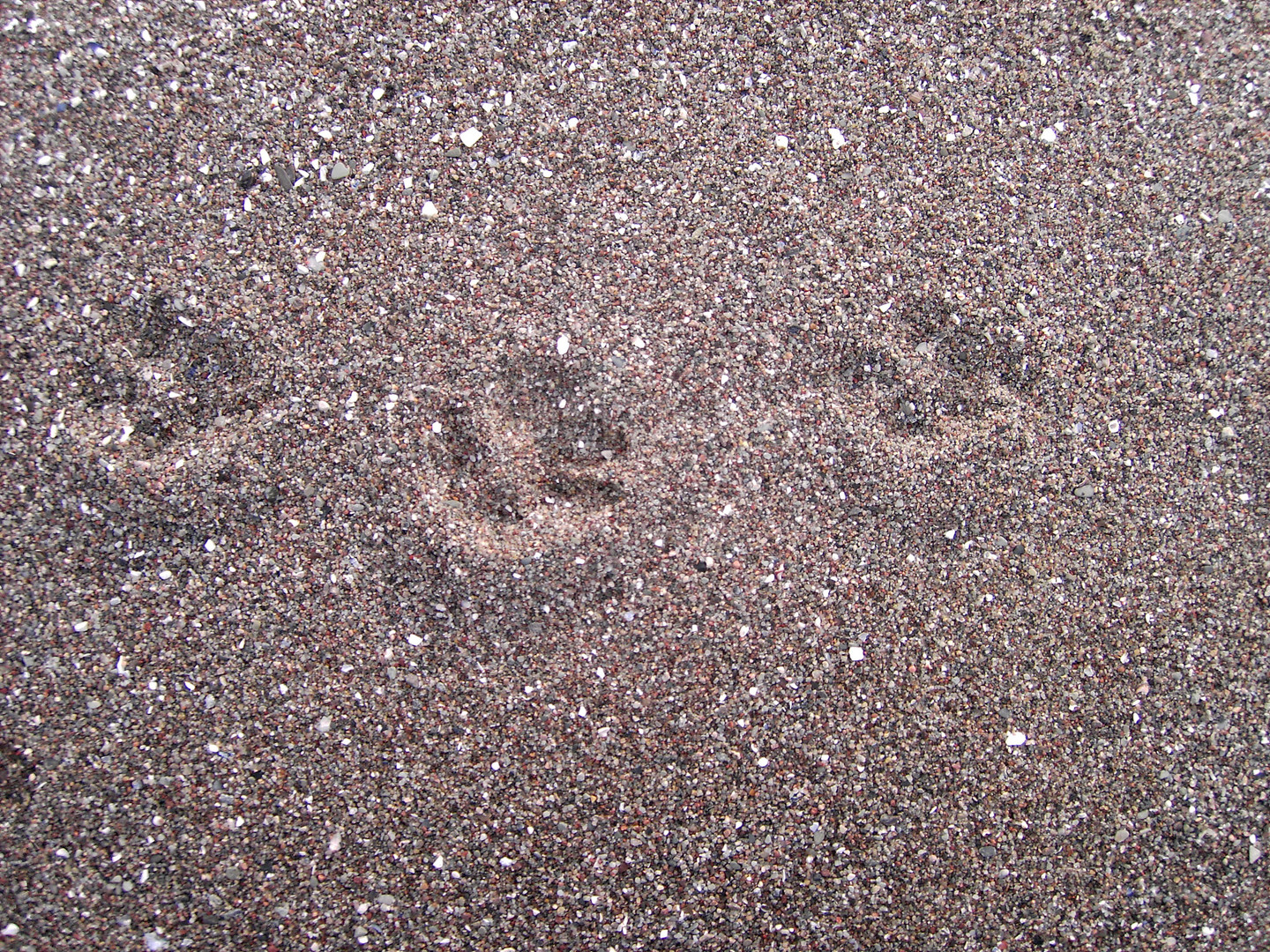 Hudetapsen auf dem Strand