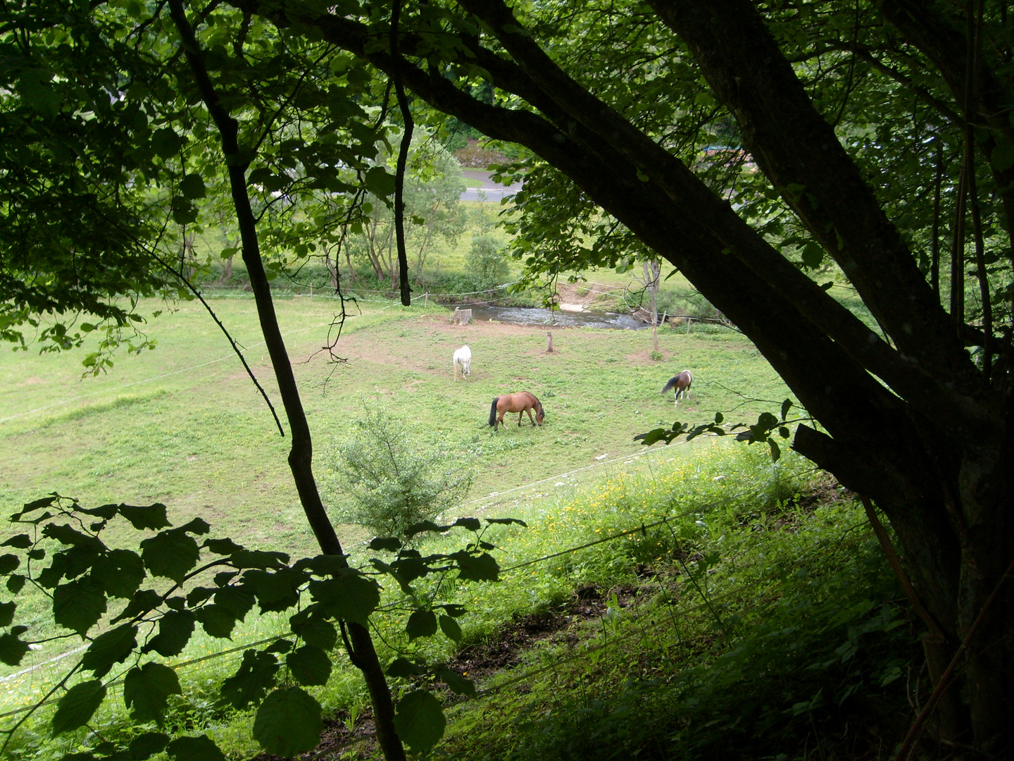 Hübsche Aussicht