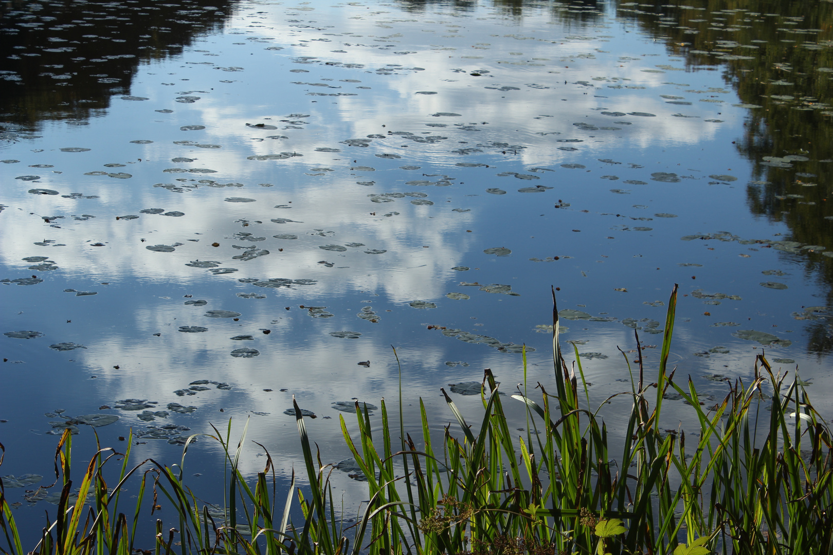 Hübsche Wasserspiegelung