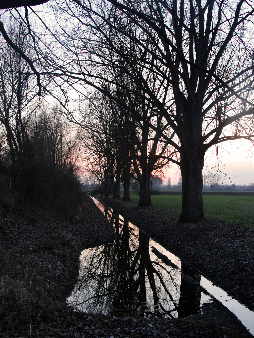 hübscher abend