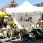 Hübscher Blumen- und Kräuter-Stand