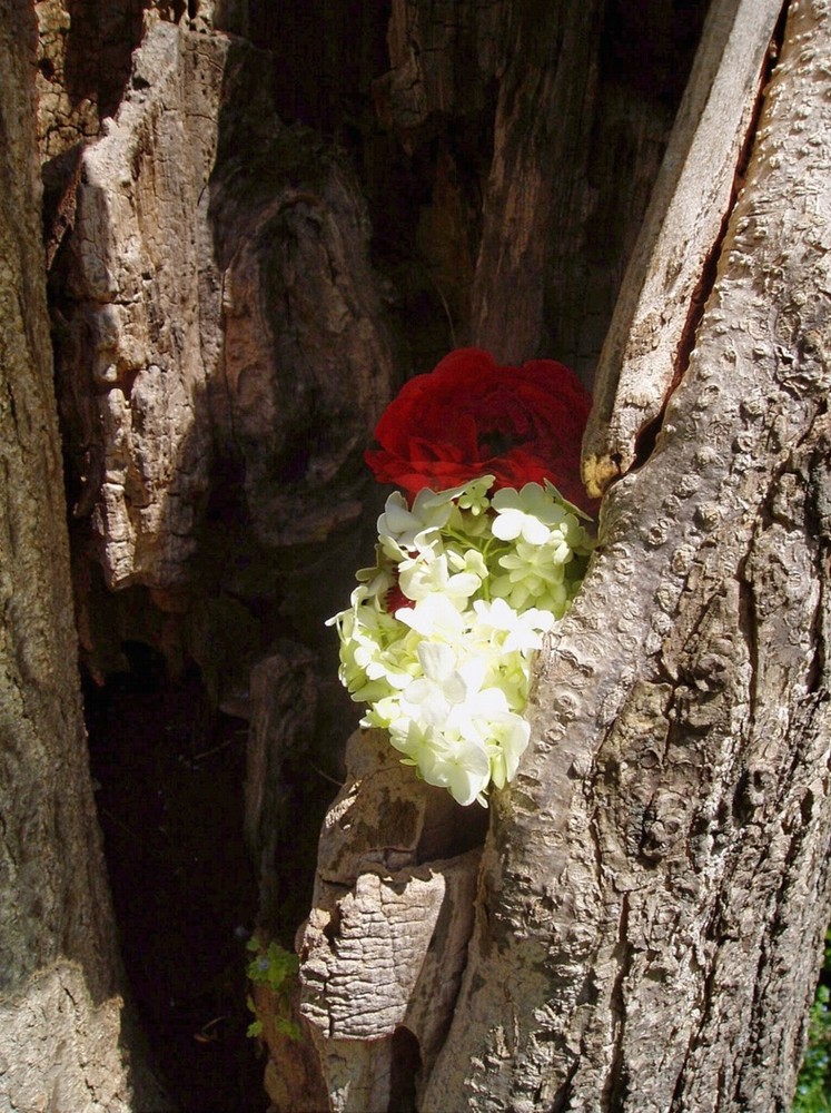 hueco con flores