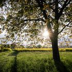 Hüffenhardt am Abend