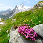 Hüfi, Maderanertal