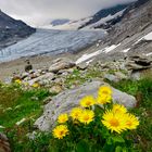 Hüfigletscher ,Maderanertal