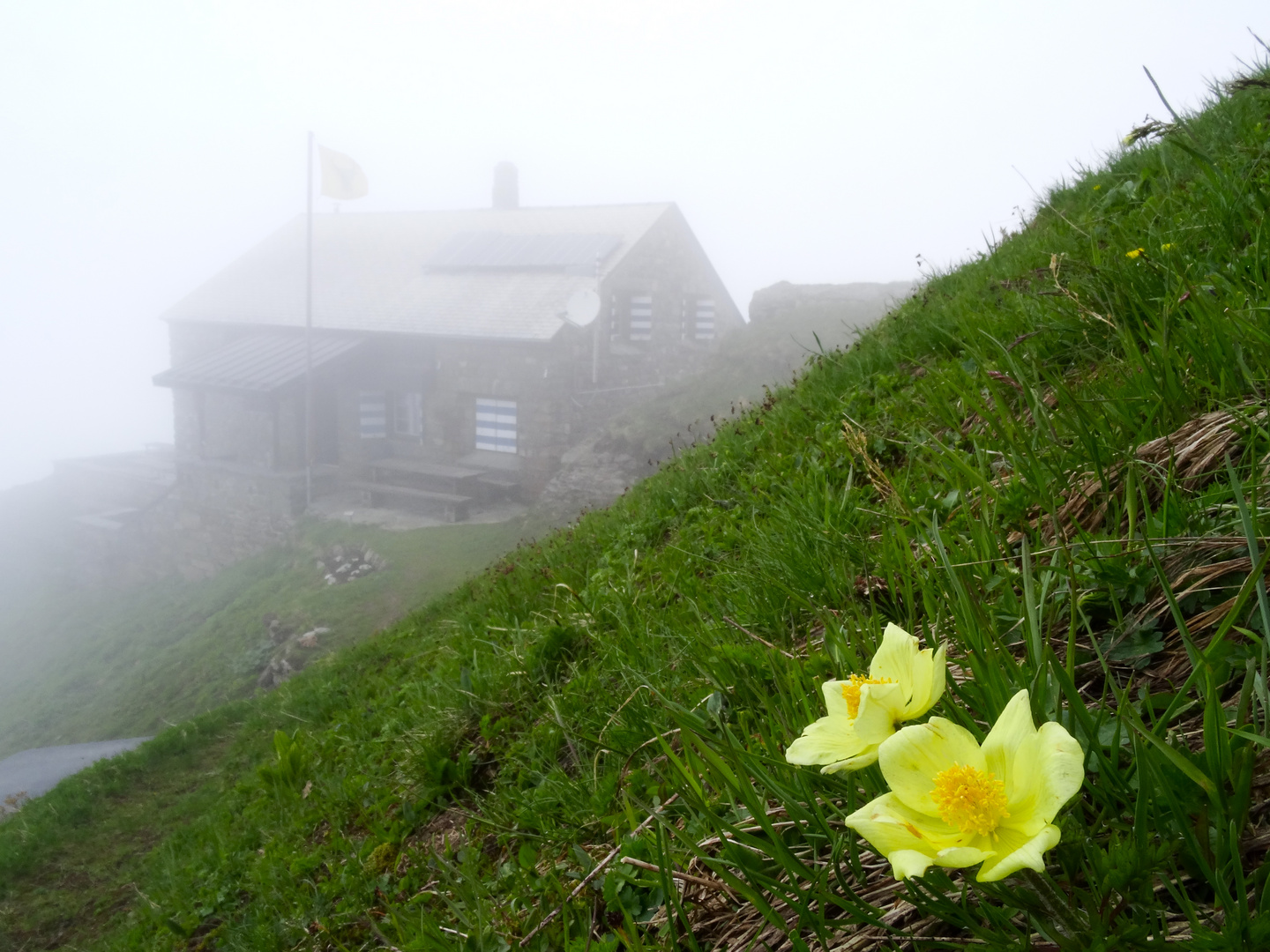 Hüfihütte bei Nebel, Maderanertal, ch