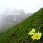 Hüfihütte bei Nebel, Maderanertal, ch