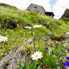 Hüfihütte , Maderanertal