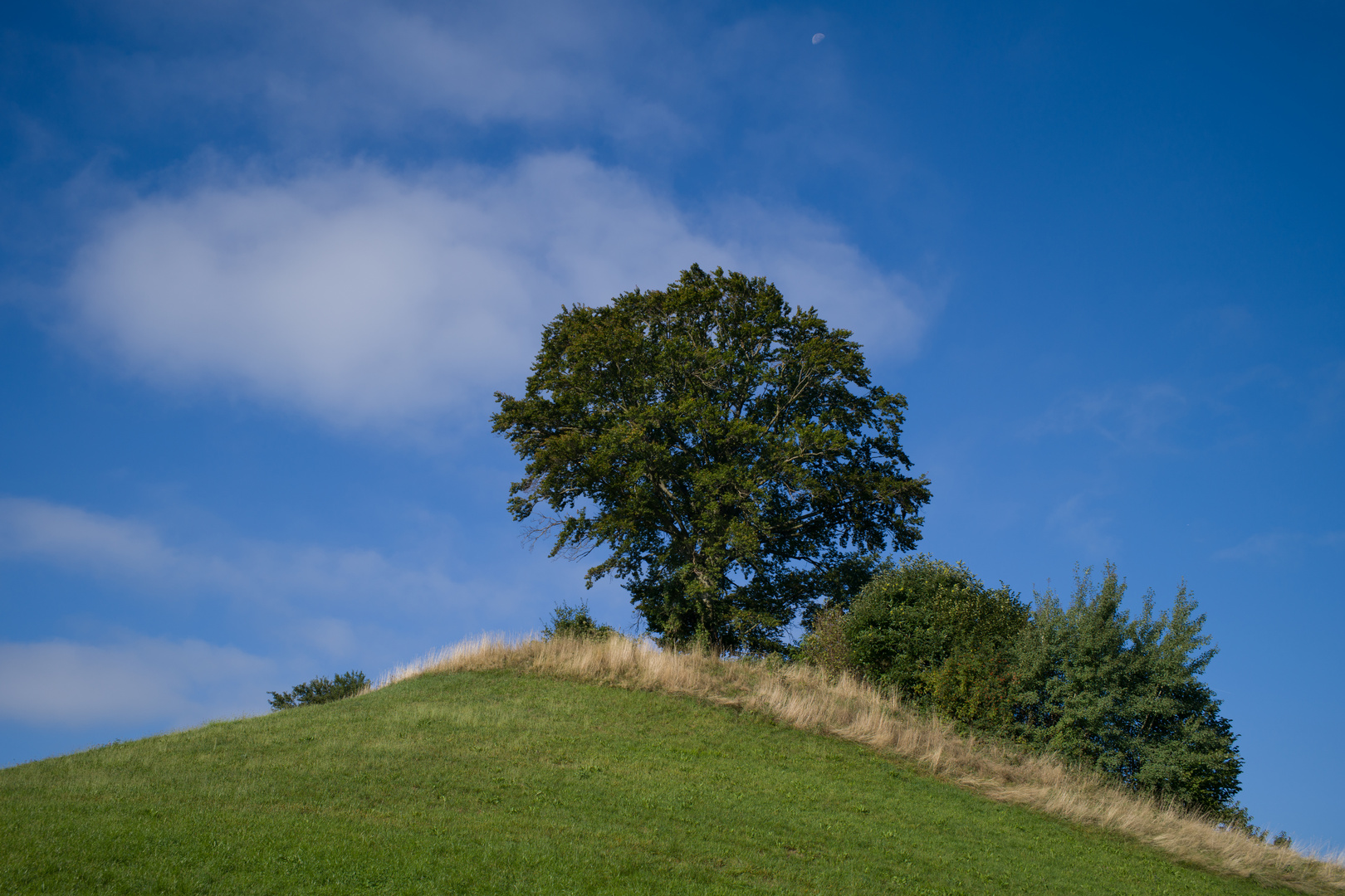 Hügel Baum und Mond 