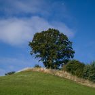 Hügel Baum und Mond 