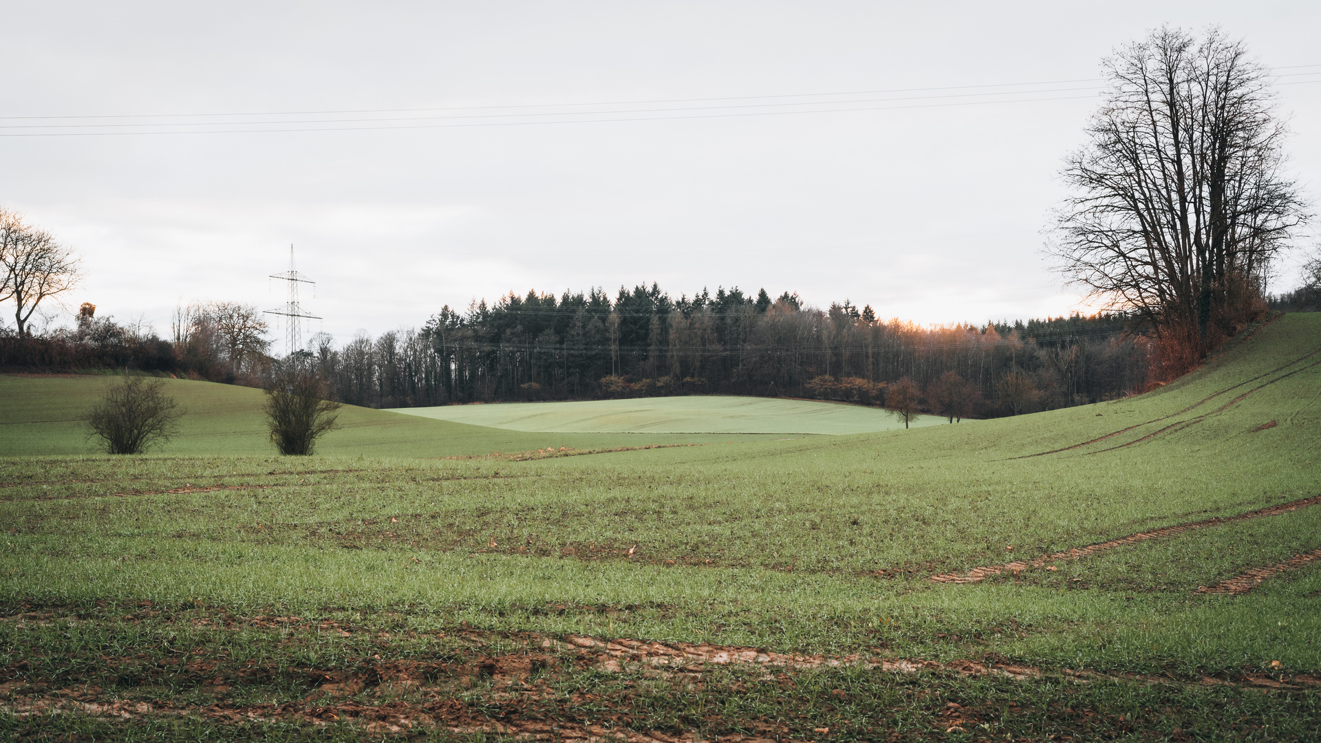 Hügel des Kraichgau