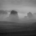 Hügel im Nebel