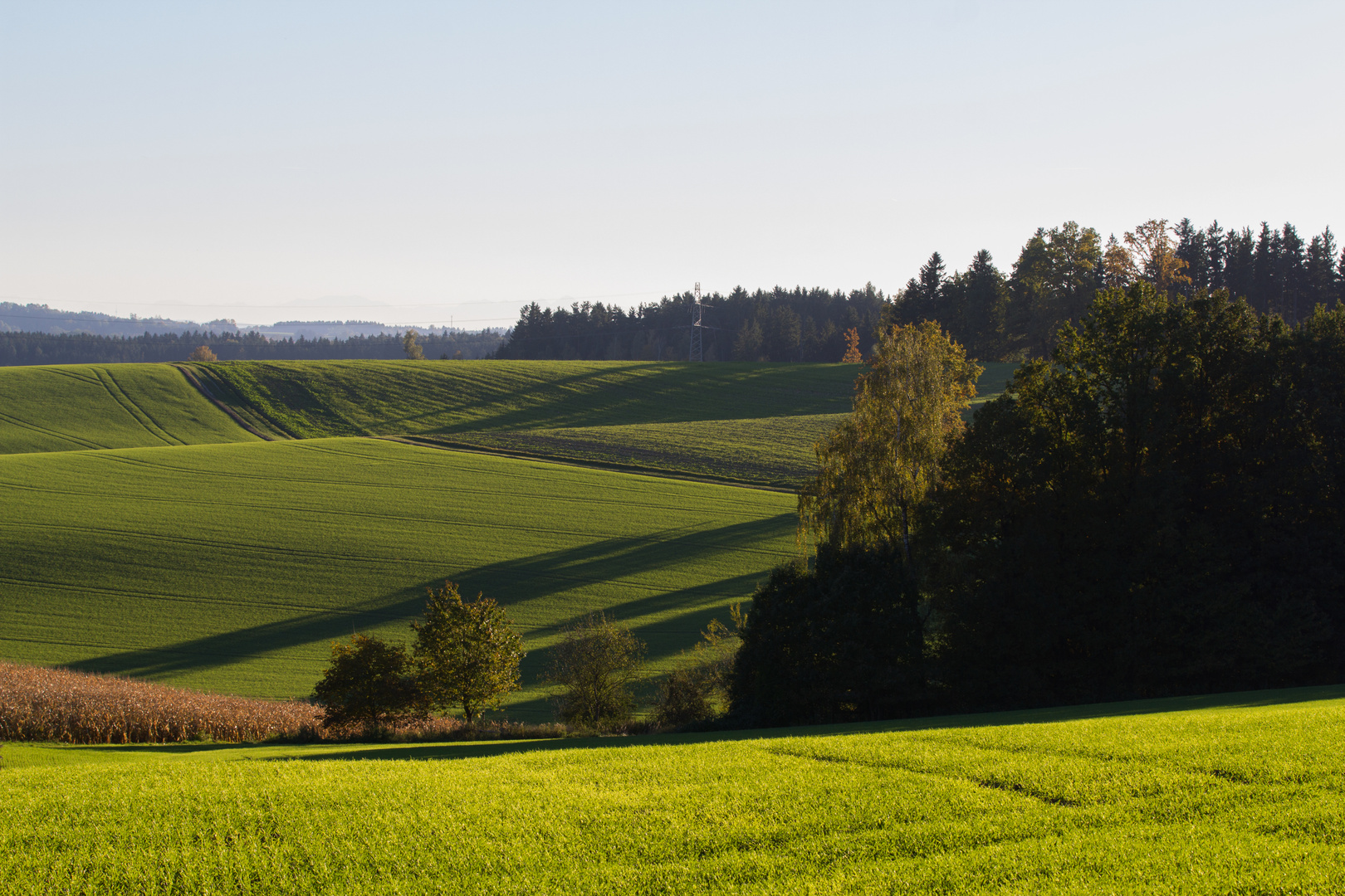 Hügel im Rottal