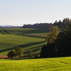 Hügel im Rottal