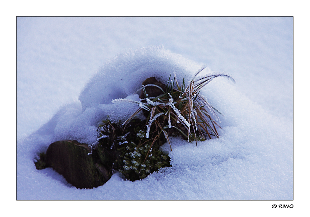 Hügel im Schnee....