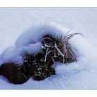 Hügel im Schnee....