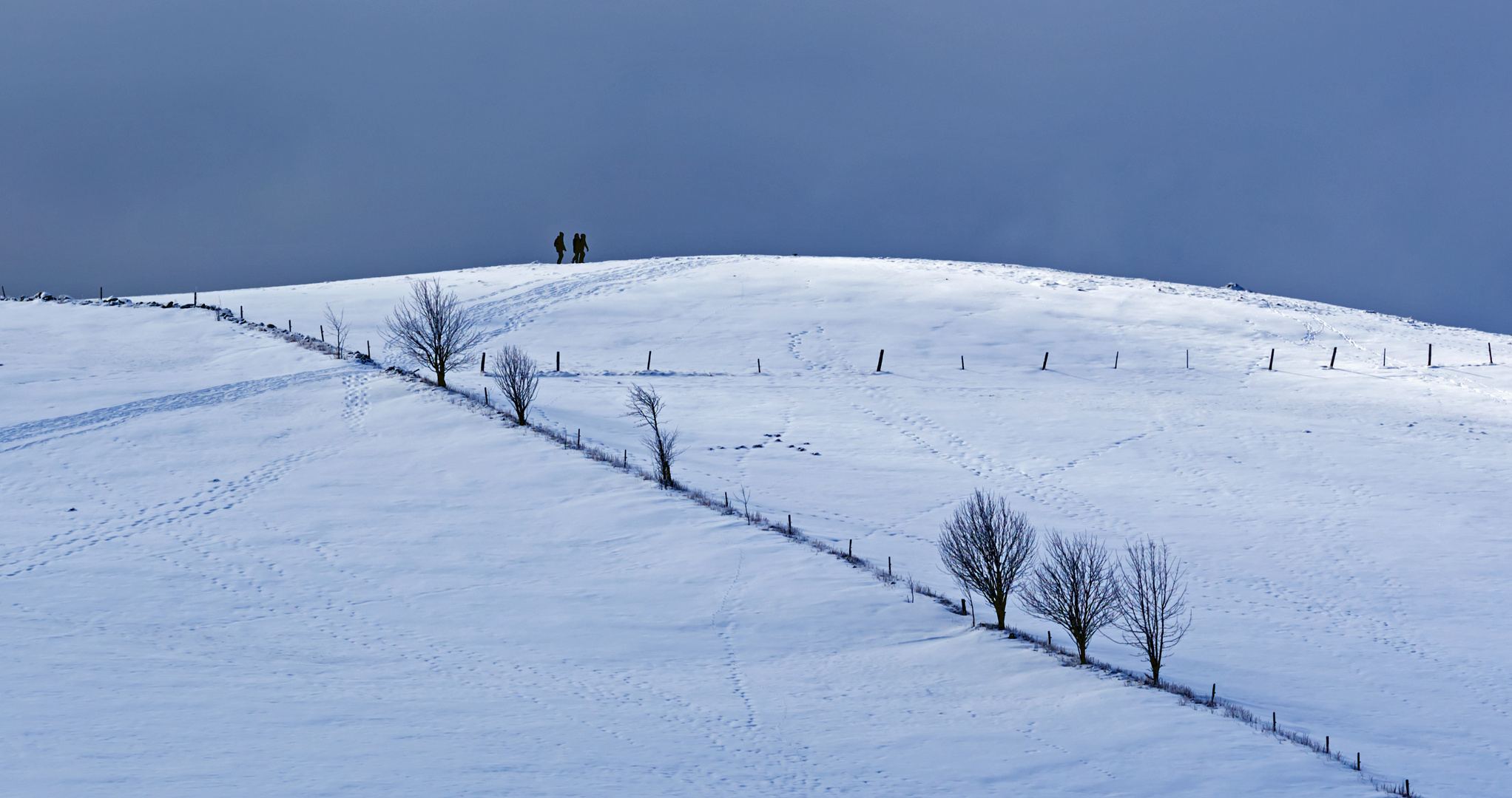 Hügel im Schwarzwald im Winter