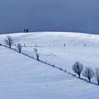 Hügel im Schwarzwald im Winter