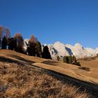 Hügel Landschaft