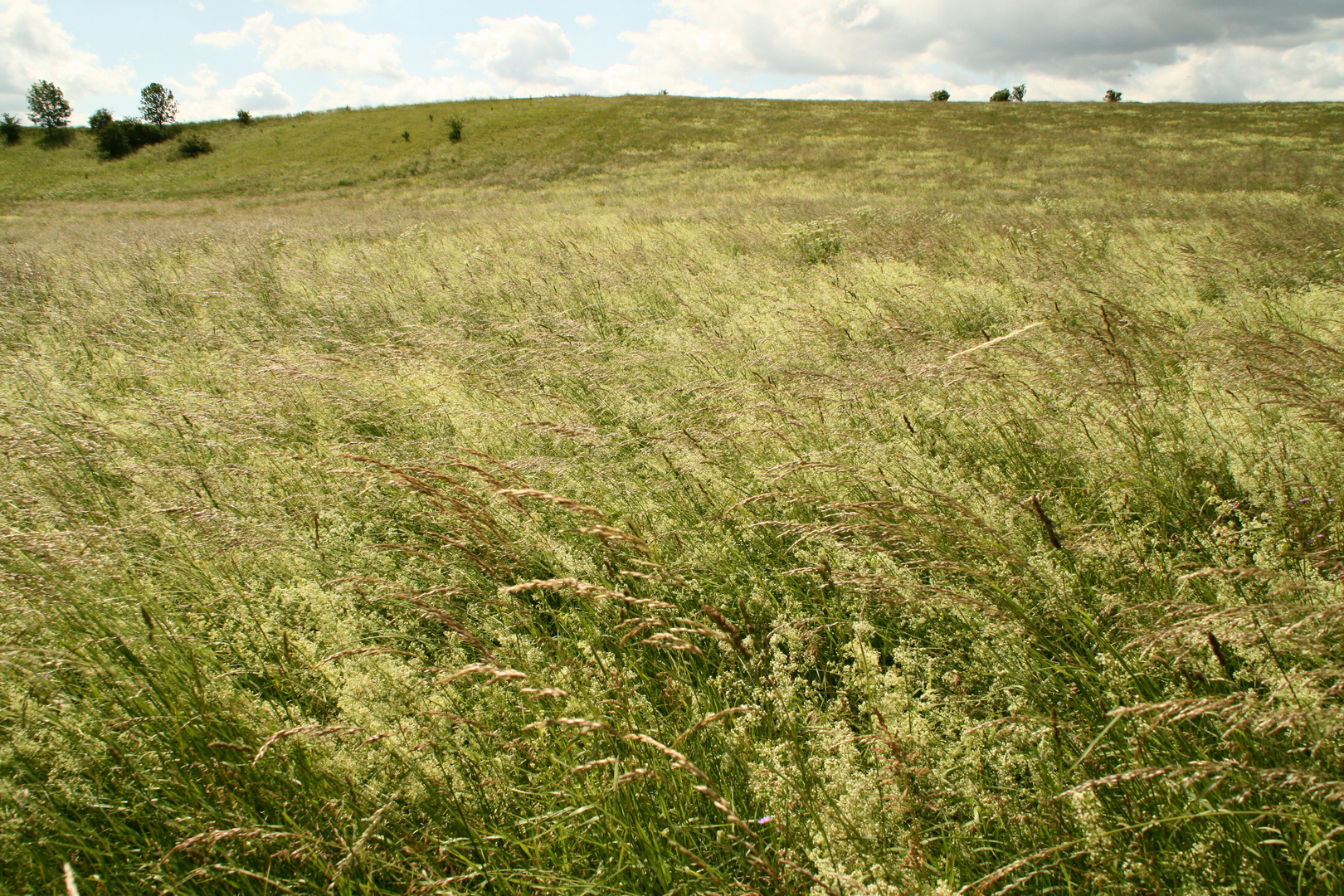 Hügel - Landschaft im Vorharz