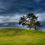 Hügel:Baum (Hill:Tree)