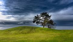 Hügel:Baum (Hill:Tree)