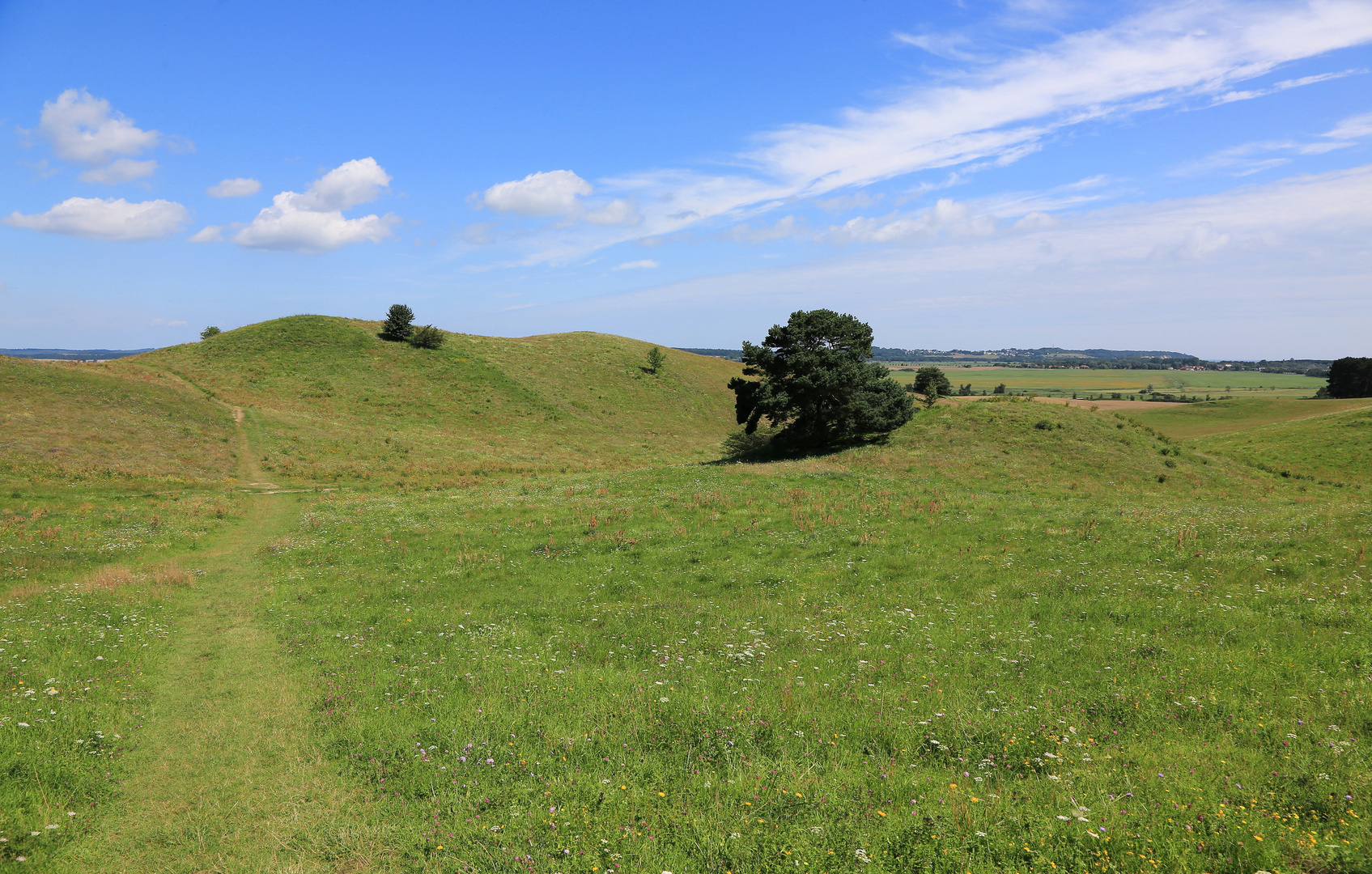 hügelblick