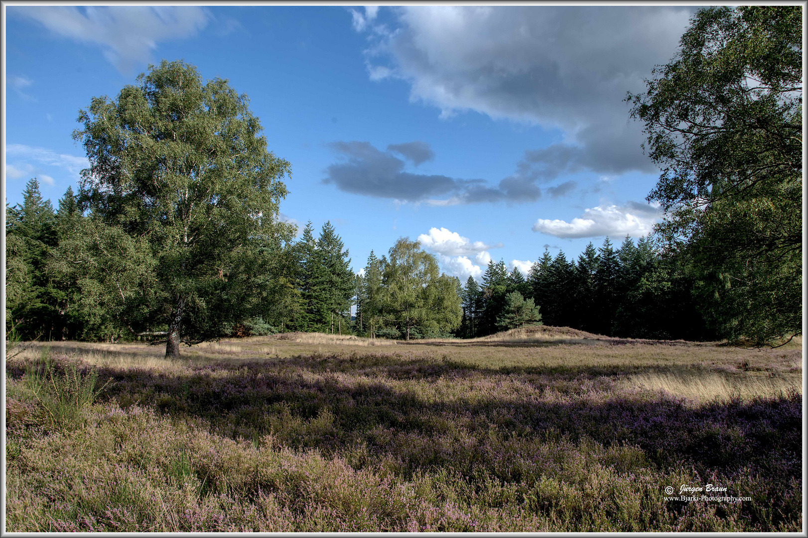 Hügelgräber Heide Kirchlinteln