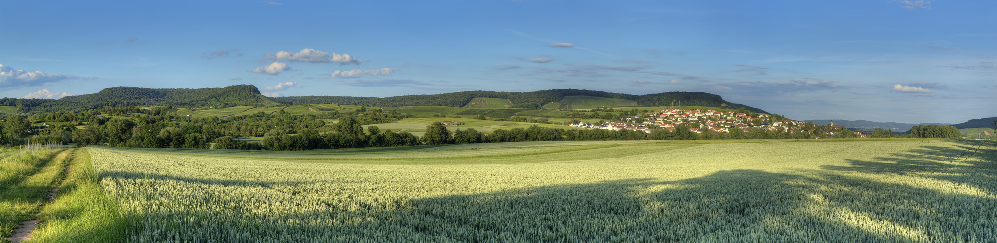 Hügeliche Kultur-Landschaft in der Abendsonne