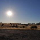 Hügelige Landschaft