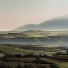 Hügelige Landschaft