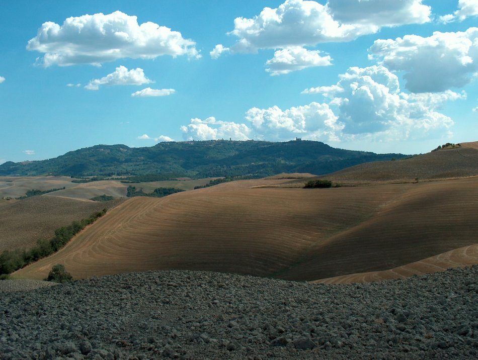 Hügeliges bei Volterra (1)