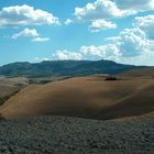 Hügeliges bei Volterra (1)