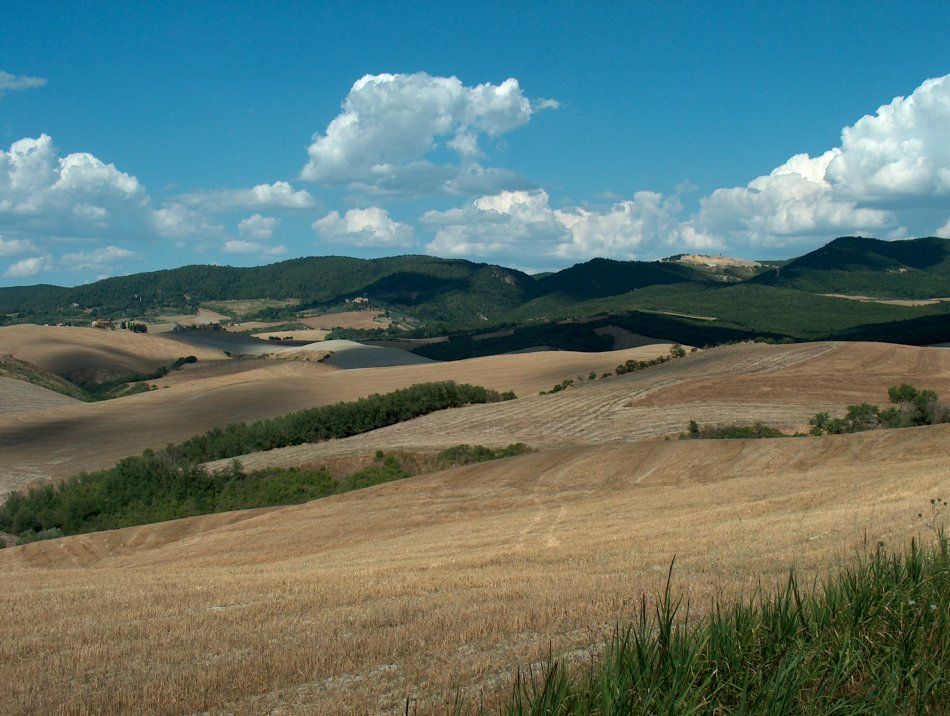 Hügeliges bei Volterra (2)